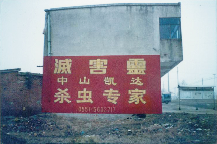 照片 006