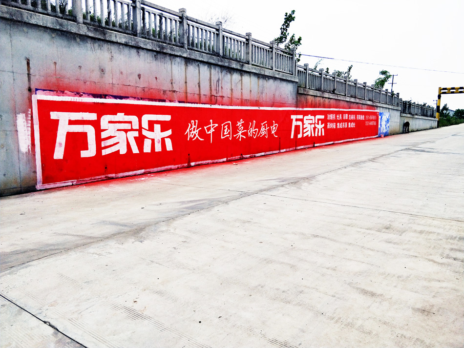 肥西9 (4)